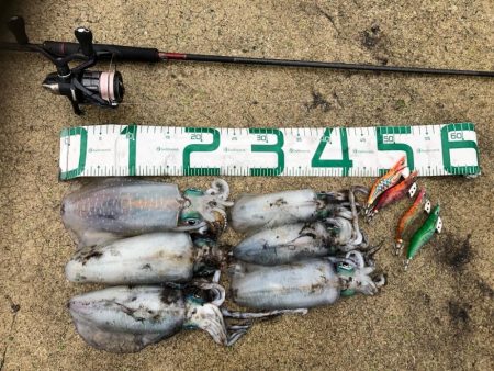 2021佐渡ヶ島 エギング 31回目