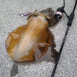 秋のキロアップ