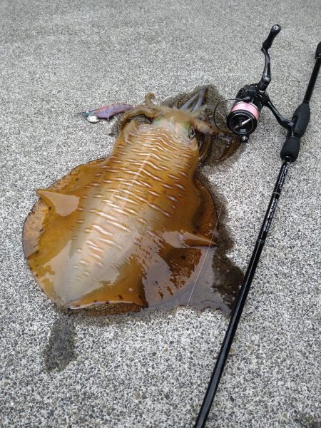 秋のキロアップ