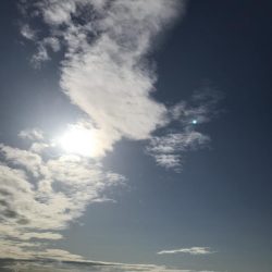 ど干潮潮止まり