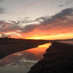 カツオ、ムラあるも順調です。