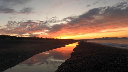 カツオ、ムラあるも順調です。