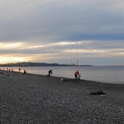 スマ(平ソーダカツオ)一匹だけでした。