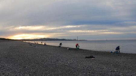 スマ(平ソーダカツオ)一匹だけでした。