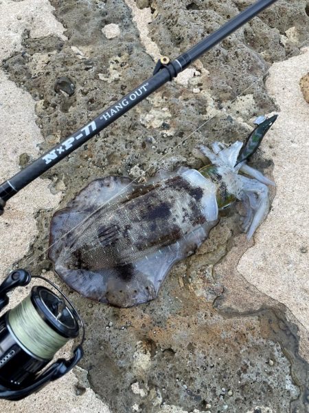 最新エギングロッドで秋イカエギング、アオリ…