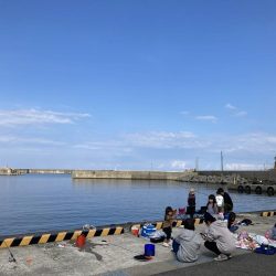 サビキ&ちょい投げ釣り