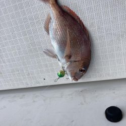 久しぶりの下津井沖