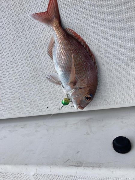 久しぶりの下津井沖