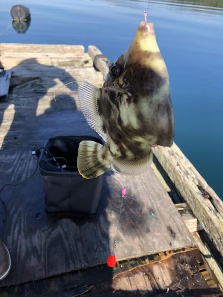 今年初の筏釣り