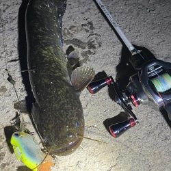 今日は釣れました！！