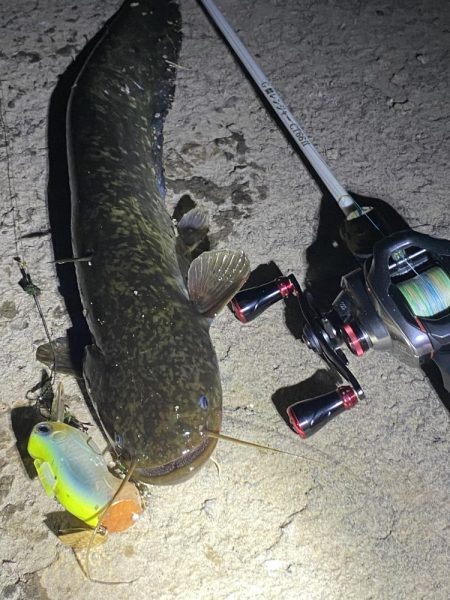 今日は釣れました！！