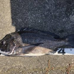 イチノ兄弟、釣果！