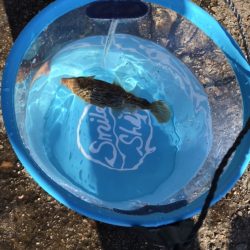 ファミリーフィッシング