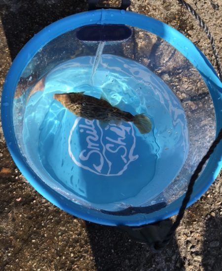 ファミリーフィッシング