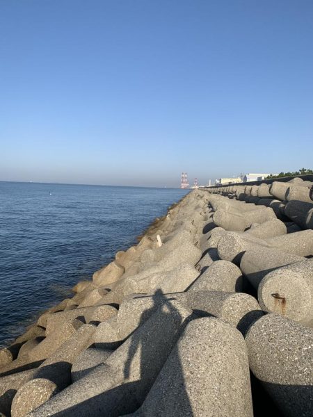 ギリ？、ハマチ