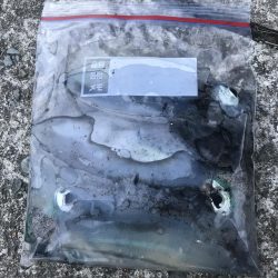 朝マズメのエギング