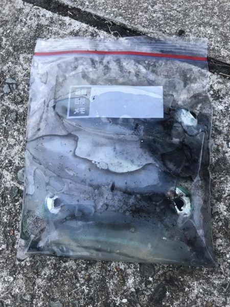 朝マズメのエギング