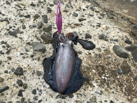 とてもシブかった