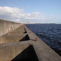 大切なポイント選び！