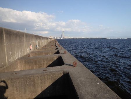 大切なポイント選び！