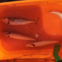 西宮ケーソンでサバゲー