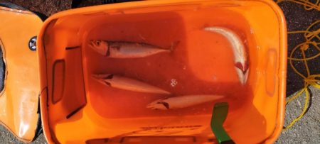 西宮ケーソンでサバゲー