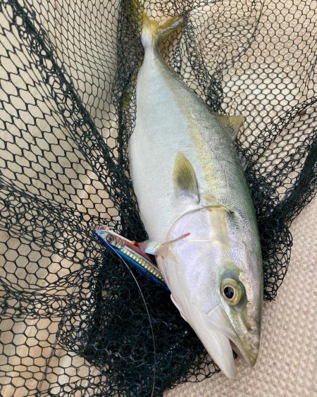 明石沖にてライトジギング