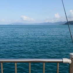 オータムフェスティバル