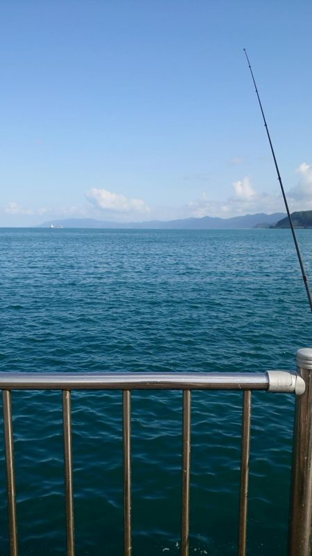 オータムフェスティバル