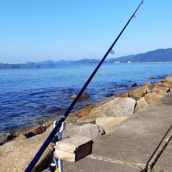 苅屋海岸のキス釣り
