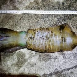 一気に寒さが、強くなりました。