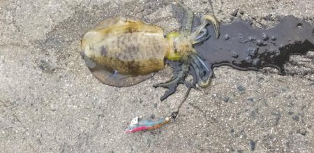 一気に寒さが、強くなりました。