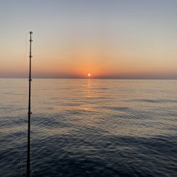 キャスティング