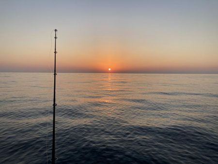 キャスティング