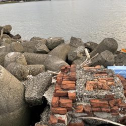 メッキ狙いが…