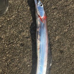 ショアジギング