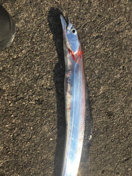 ショアジギング