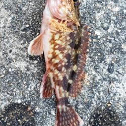 泉南行ってきました