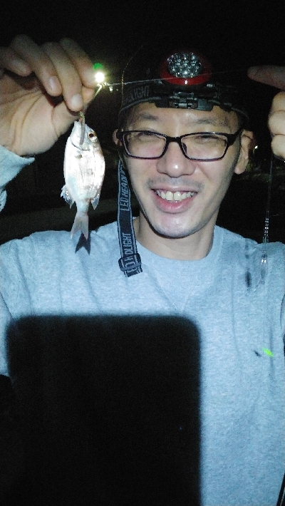 エギング予定が