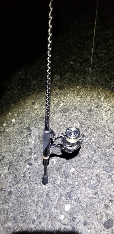 ナイトエギング