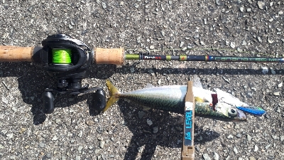 プラバイブ縛り