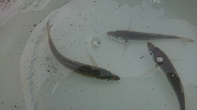 2021第1回播磨遠征