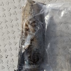 ボートエギング