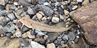 湯浅から南をランガン