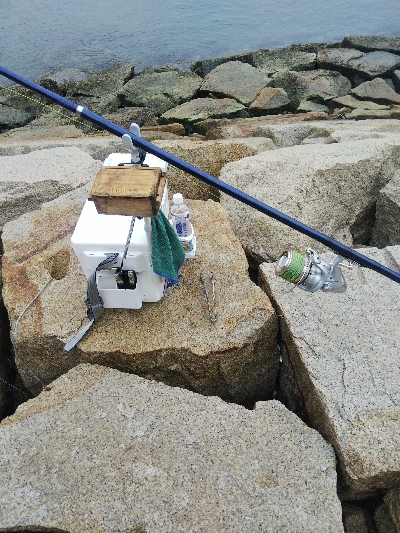 室津のキス釣り