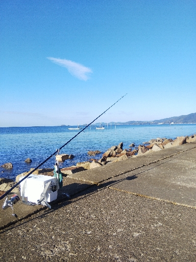 苅屋のキス釣り
