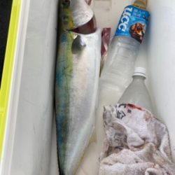 激シブジギング