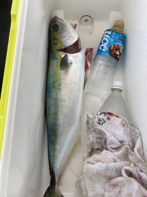 激シブジギング