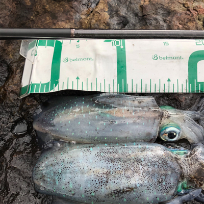 2021 佐渡ヶ島エギング 17回目