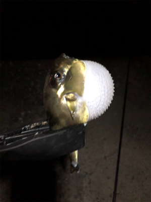 渋いがなんとか一匹